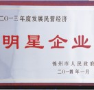 2013年度發展民營經濟明星企業